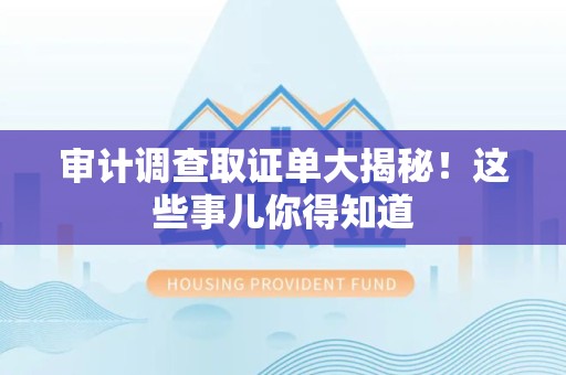 福安审计调查取证单大揭秘！这些事儿你得知道