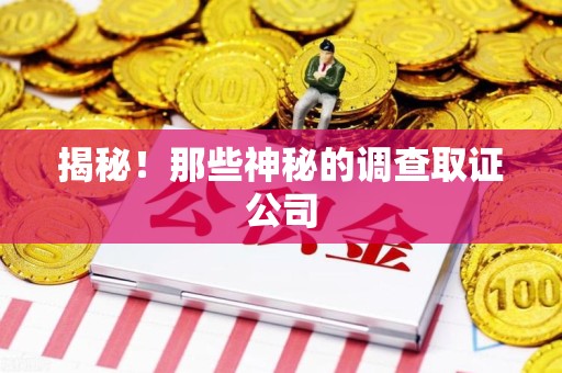 福安揭秘！那些神秘的调查取证公司