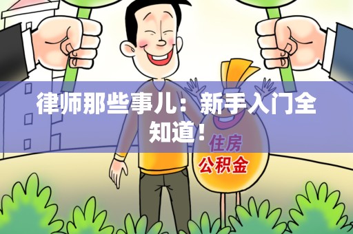福安律师那些事儿：新手入门全知道！