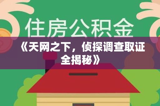 福安《天网之下，侦探调查取证全揭秘》