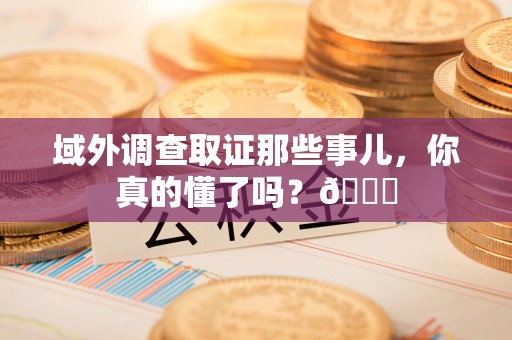 福安域外调查取证那些事儿，你真的懂了吗？😎