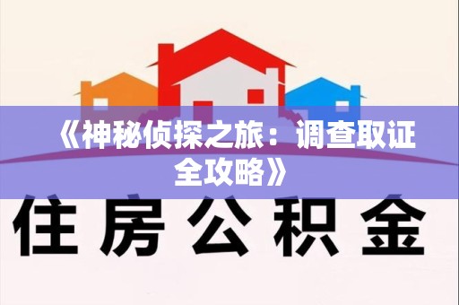 福安《神秘侦探之旅：调查取证全攻略》