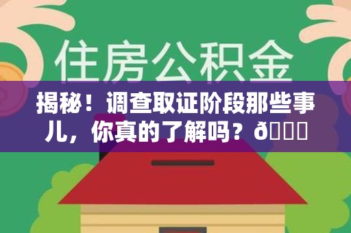 福安揭秘！调查取证阶段那些事儿，你真的了解吗？😎