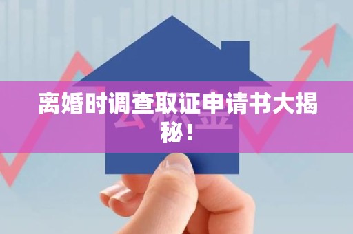 福安离婚时调查取证申请书大揭秘！